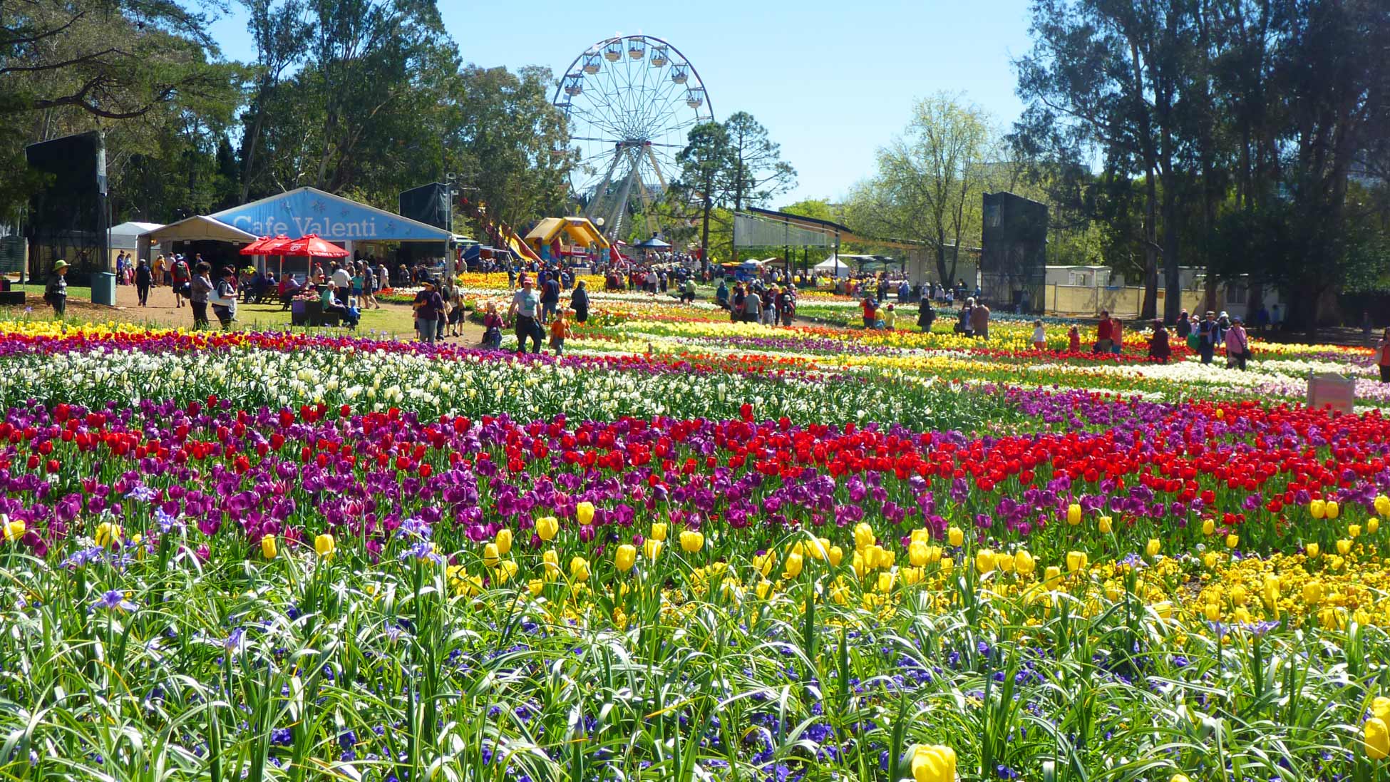 floriade canberra tour from sydney